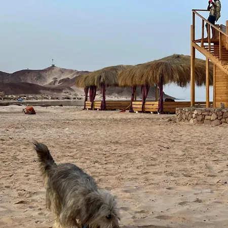 Alkhalil Beach Camp