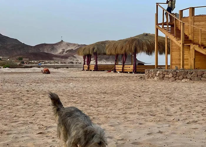 Alkhalil Beach Camp Nuweiba`